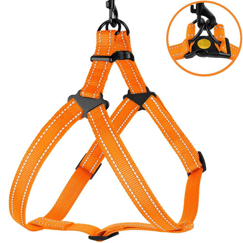 Шлея BronzeDog Active для собак, світловідбиваючий нейлон, помаранчевий, 45-60 см