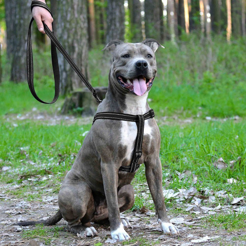 Шлея BronzeDog Active для собак, світловідбиваючий нейлон, чорний, 45-60 см