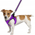 Шлея BronzeDog Mesh Vest для собак, сітчастий нейлон, фіолетовий, 26-29 см