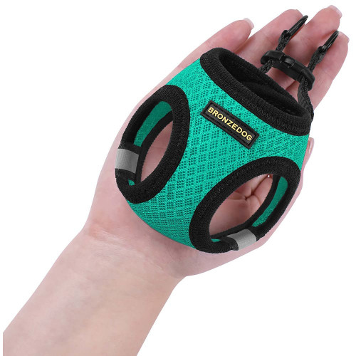 Шлея BronzeDog Mesh Vest для собак, сітчастий нейлон, ментоловий, 20-24 см