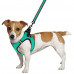 Шлея BronzeDog Mesh Vest для собак, сітчастий нейлон, ментоловий, 20-24 см