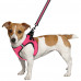 Шлея BronzeDog Mesh Vest для собак, сітчастий нейлон, рожевий, 20-24 см