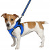 Шлея BronzeDog Mesh Vest для собак, сітчастий нейлон, синій, 20-24 см