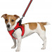 Шлея BronzeDog Mesh Vest для собак, сітчастий нейлон, червоний, 20-24 см