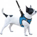 Шлея BronzeDog Sport Vest для собак из нейлона, неопрена и 3D сетки, голубой, 43-53 см