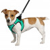 Шлея BronzeDog Sport Vest для собак з нейлону, неопрену і 3D сітки, ментоловий, 34-42 см