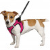 Шлея BronzeDog Sport Vest для собак из нейлона, неопрена и 3D сетки, розовый, 34-42 см