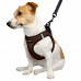 Шлея BronzeDog Sport Vest для собак из нейлона, неопрена и 3D сетки, коричневый, 29-34 см