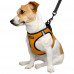Шлея BronzeDog Sport Vest для собак з нейлону, неопрену і 3D сітки, помаранчевий, 26-29 см