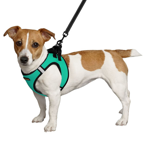 Шлея BronzeDog Sport Vest для собак з нейлону, неопрену і 3D сітки, ментоловий, 42-47 см
