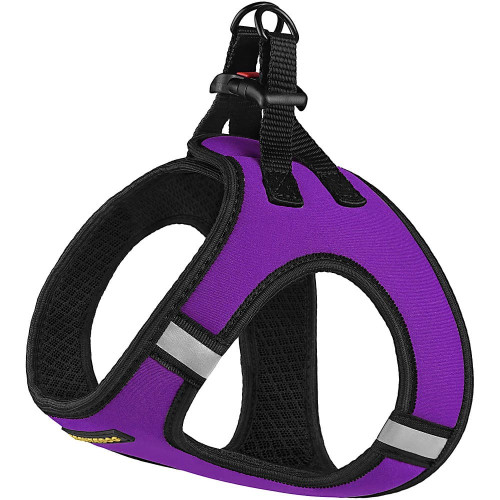 Шлея BronzeDog Sport Vest для собак з нейлону, неопрену і 3D сітки, фіолетовий, 42-47 см