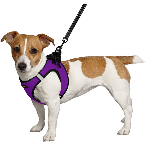 Шлея BronzeDog Sport Vest для собак з нейлону, неопрену і 3D сітки, фіолетовий, 42-47 см