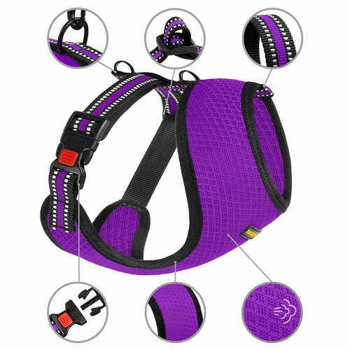 Шлея BronzeDog Mesh для собак дрібних порід, сітчастий нейлон, фіолетовий, 35-38 см