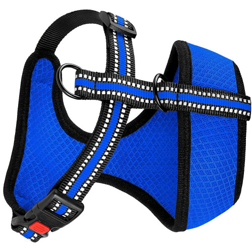 Шлея BronzeDog Mesh для собак мелких пород, сетчатый нейлон, синий, 28-33 см
