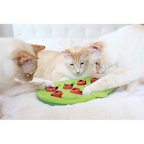 Інтерактивна іграшка для котів Nina Ottoson Buggin Out Puzzle&Play Головоломка, зелена, 35×29.2×4.2 см