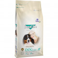 Сухой корм BonaCibo Adult Dog Form для стареющих собак и собак с лишним весом, курица/анчоусы/рис, 4 кг