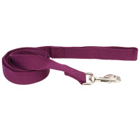 Повідець Coastal New Earth Soy Dog Leash для собак, фіолетовий, 183×2.5 см Повідець Coastal New Earth Soy Dog Leash для собак, фіолетовий, 183×2.5 см