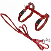 Шлея с поводком Flamingo Cat Harness and Leash Ziggi для кошек, красный, 22-36 см/27-46 см, 1.1 м Шлея с поводком Flamingo Cat Harness and Leash Ziggi для кошек, красный, 22-36 см/27-46 см, 1.1 м
