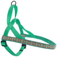 Шлея Coastal Ribbon Weave Harness для собак, тёмно-бирюзовый с косточками, 40-48×1.6 см Шлея Coastal Ribbon Weave Harness для собак, тёмно-бирюзовый с косточками, 40-48×1.6 см