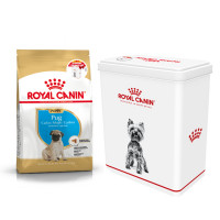 Сухой корм Royal Canin Pug Puppy для щенков мопса до 10 месяцев, 1.5 кг + контейнер в подарок Сухой корм Royal Canin Pug Puppy для щенков мопса до 10 месяцев, 1.5 кг + контейнер в подарок