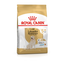 Сухой корм Royal Canin Labrador Retriever Ageing 5+ для лабрадора старше 5 лет, 12 кг Сухой корм Royal Canin Labrador Retriever Ageing 5+ для лабрадора старше 5 лет, 12 кг