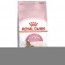 Сухой корм Royal Canin Kitten Sterilised для стерилизованных котят до 12 месяцев, 3.5 кг