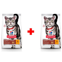 Сухой корм Hill's Science Plan Adult Hairball & Indoor для кошек, с курицей, 300 + 300 г Сухой корм Hill's Science Plan Adult Hairball & Indoor для кошек, с курицей, 300 + 300 г