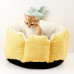 Ліжко Petkit Pineapple Bed для котів, жовтий, 40×40×25 см