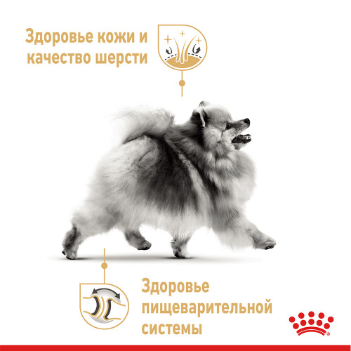 Сухий корм Royal Canin Pomeranian Adult для дорослих собак породи померанський шпіц, 500 г