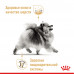 Сухий корм Royal Canin Pomeranian Adult для дорослих собак породи померанський шпіц, 500 г