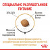 Сухий корм Royal Canin Pomeranian Adult для дорослих собак породи померанський шпіц, 500 г