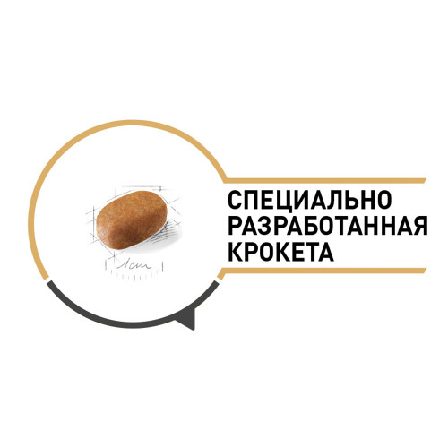 Сухий корм Royal Canin Maltese Adult для мальтійської болонки, 1.5 кг