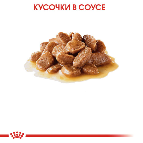 Вологий корм Royal Canin Mini Ageing 12+ для собак дрібних порід старше 12 років, шматочки в соусі, 85 г