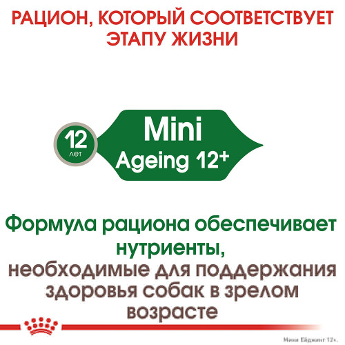 Вологий корм Royal Canin Mini Ageing 12+ для собак дрібних порід старше 12 років, шматочки в соусі, 85 г