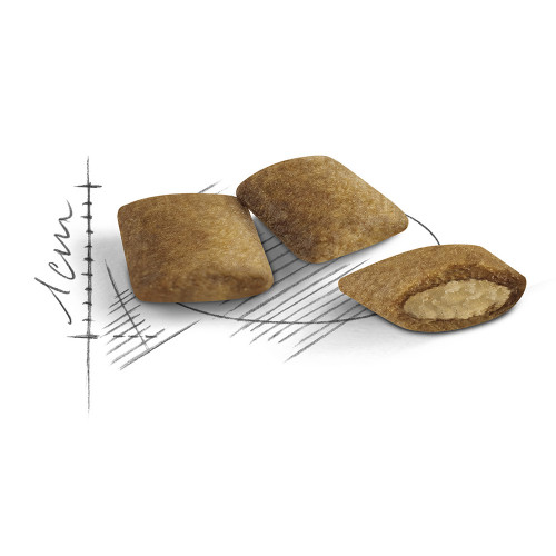 Сухой корм Royal Canin Ageing 12+ для кошек от 12 лет, 4 кг
