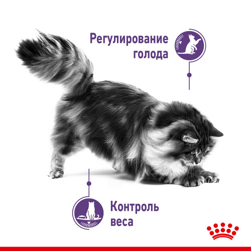 Сухий корм Royal Canin Appetite Control Care для стерилізованих котів, 3.5 кг