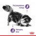 Сухий корм Royal Canin Appetite Control Care для стерилізованих котів, 3.5 кг