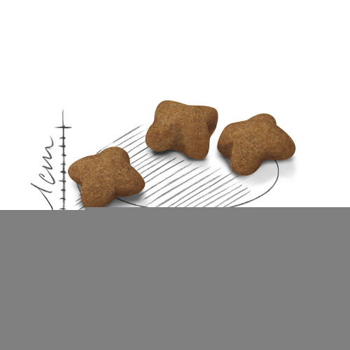 Сухой корм Royal Canin Kitten Sterilised для стерилизованных котят до 12 месяцев, 3.5 кг