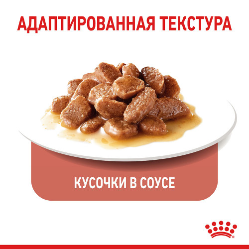 Вологий корм Royal Canin Appetite Control Care шматочки в соусі, для стерилізованих котів, 85 г
