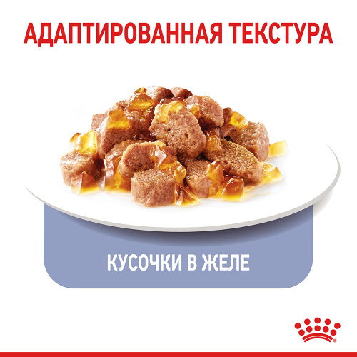 Вологий корм Royal Canin Appetite Control Care шматочки в желе, для стерилізованих котів, 85 г