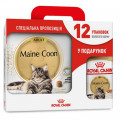 Сухой корм Royal Canin Maine Coon Adult для мейн-кунов, 4 кг + 12 паучей в подарок