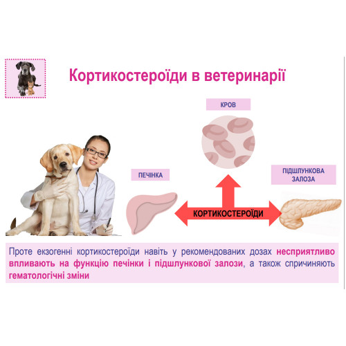 Стимулятор обміну речовин Катобевіт, 100 мл