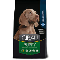 Сухой корм Farmina Cibau Puppy Maxi для щенков крупных пород, с курицей, 12 кг Сухой корм Farmina Cibau Puppy Maxi для щенков крупных пород, с курицей, 12 кг
