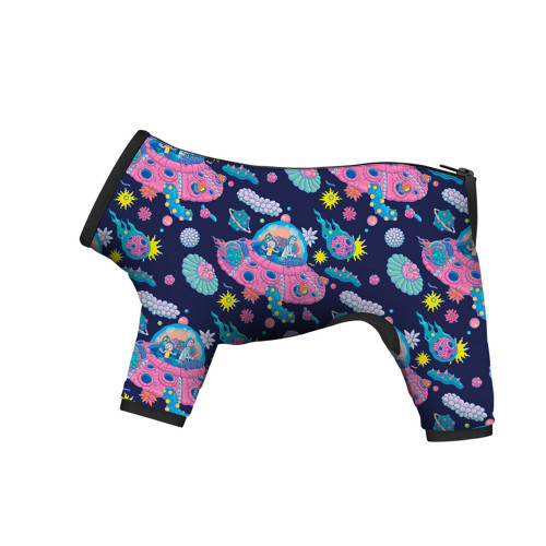 Дощовик Waudog Clothes для собак, малюнок "Рік і Морті 1", S35