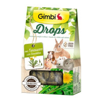Лакомство GimBi дропсы для грызунов, с одуванчиком, 50 г Лакомство GimBi дропсы для грызунов, с одуванчиком, 50 г