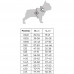 Дождевик Waudog Clothes для собак, рисунок "Рик и Морти 3", XS30