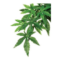 Искусственное растение Repti-Zoo Velvetleaf TP003, 40 см