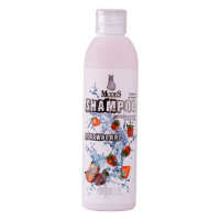 Шампунь Modes Shampoo Strawberry для кошек и собак, с ароматом клубники, 250 мл