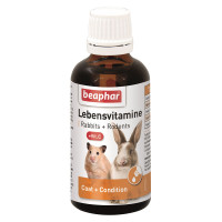 Витаминная добавка Beaphar Lebensvitamine для грызунов, капли, 50 мл Витаминная добавка Beaphar Lebensvitamine для грызунов, капли, 50 мл