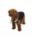 Жилетка Paw Star Sport Vest для собак, розмір L, чорна